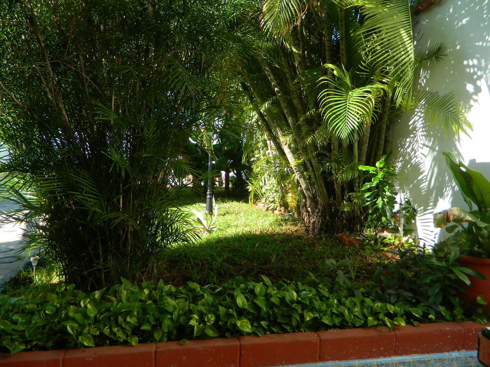 Hotel Colon Merida Ngoại thất bức ảnh